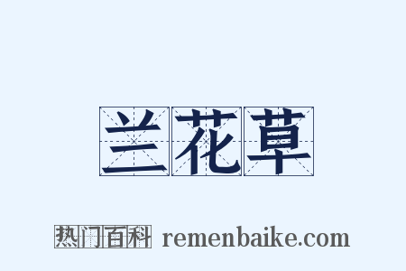 兰花草是什么意思的图片